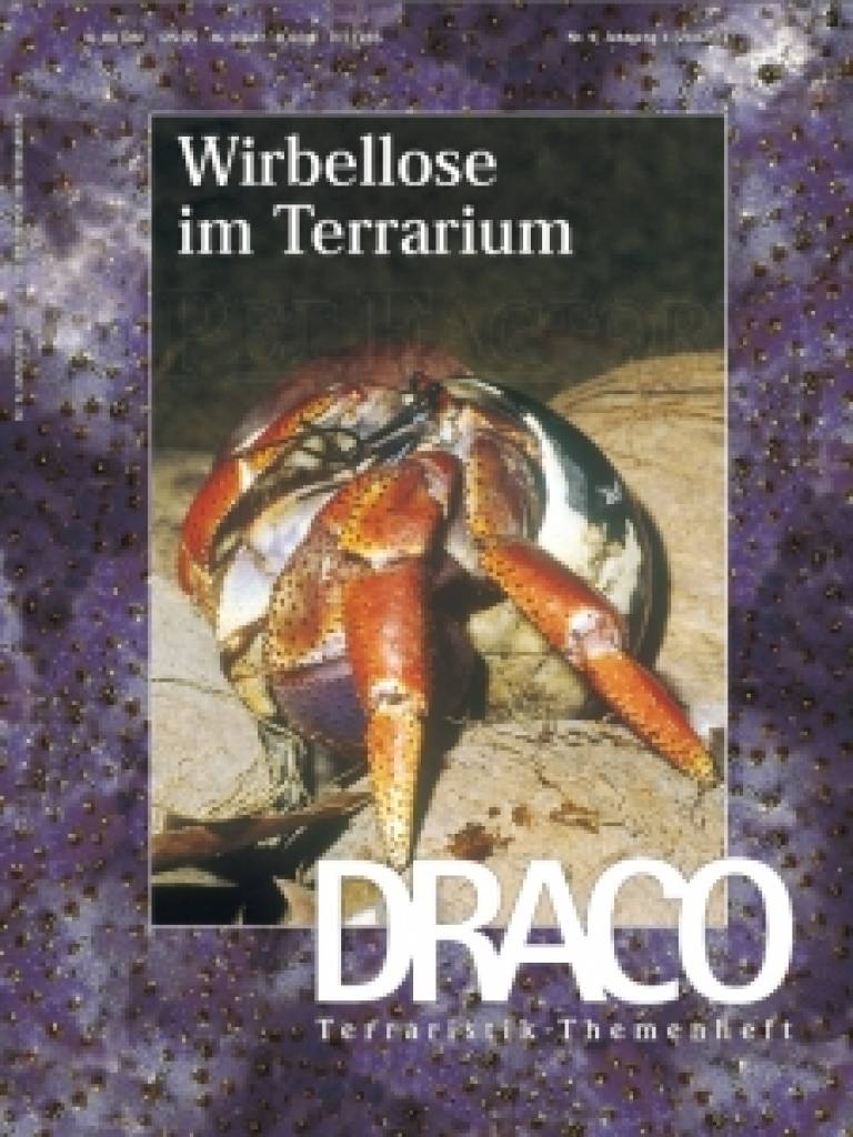 Draco Nr. 09 - Wirbellose im Terrarium